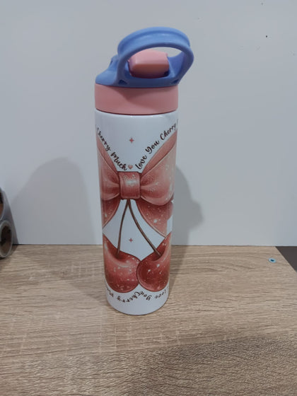 20oz stainless steel water bottles