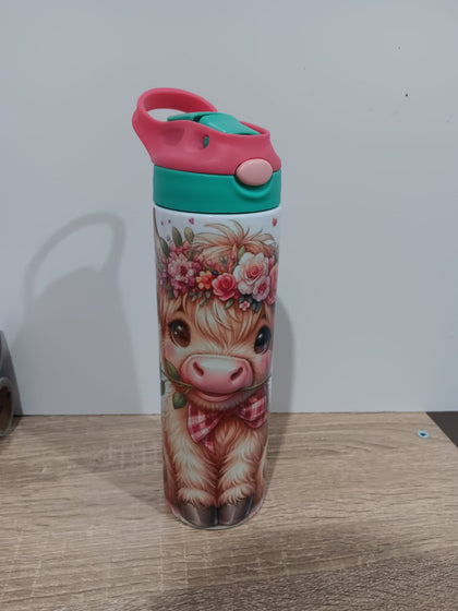 20oz stainless steel water bottles